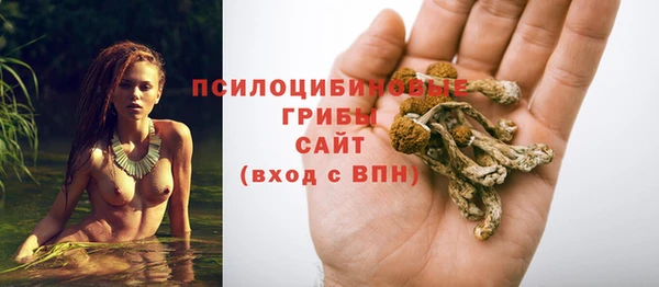 мет Алзамай